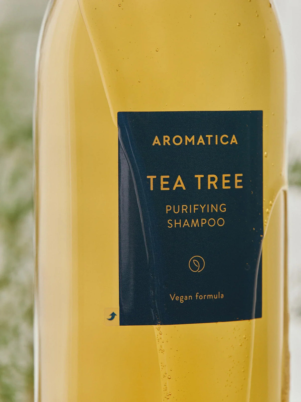 AROMATICA – Tea Tree Purifying Shampoo – vue 2