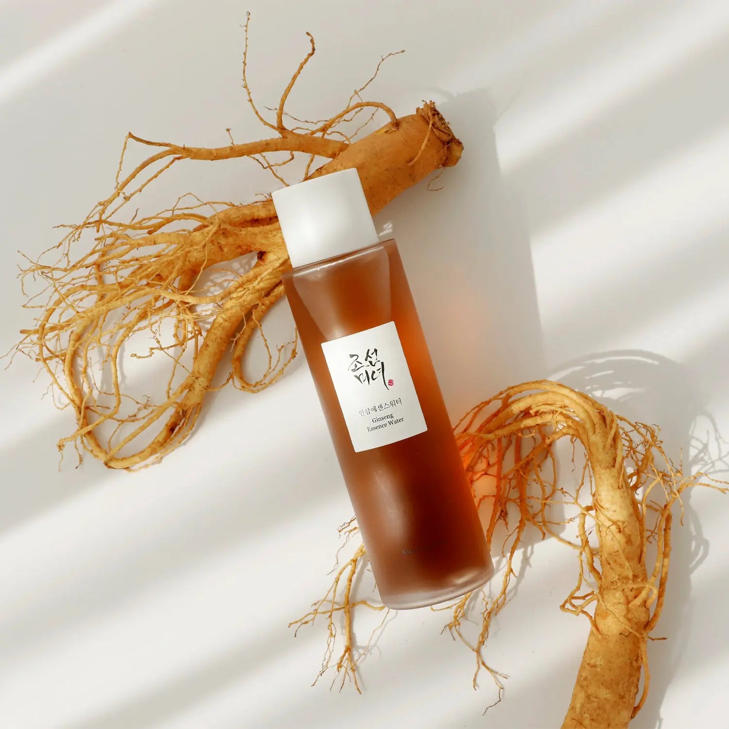 Toner Ginseng Essence Water - Beauty of Joseon - KYO SHII